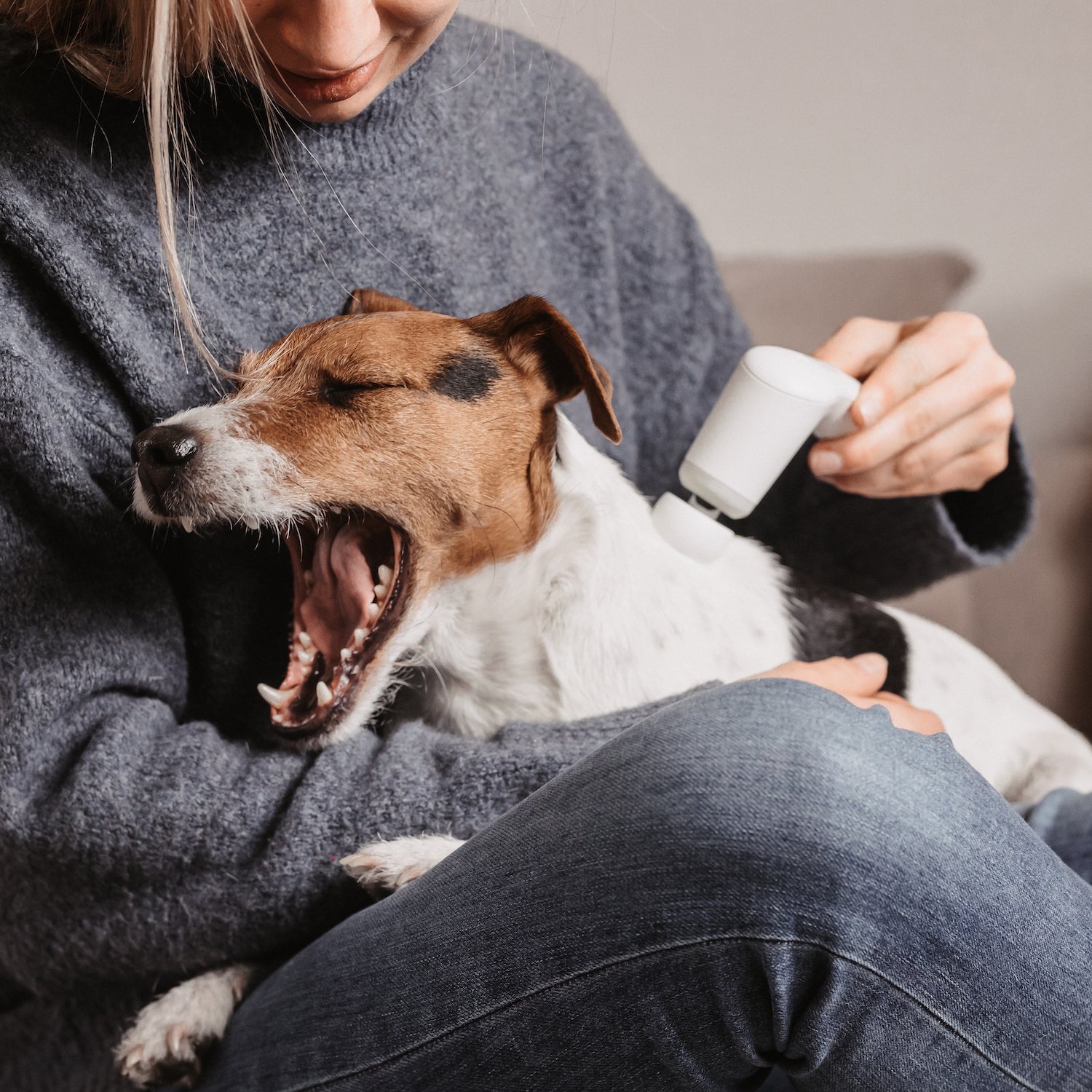 Erfahrungsbericht Hund