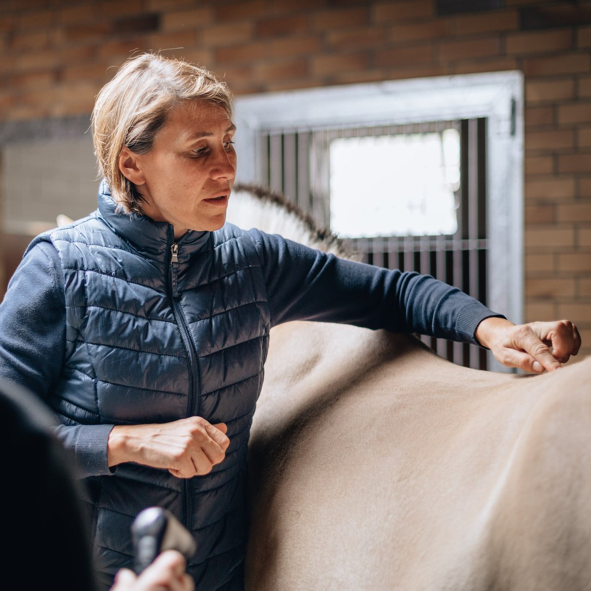 Fachanwender Veterinär