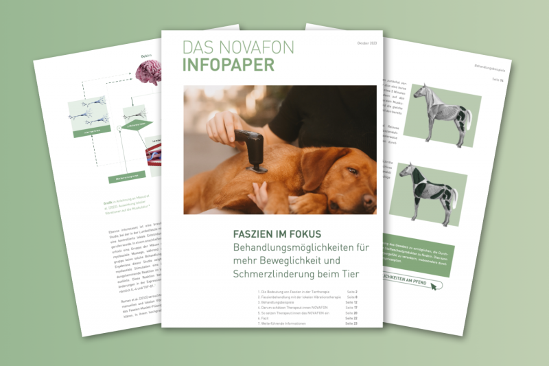 infopaper-faszien-vet